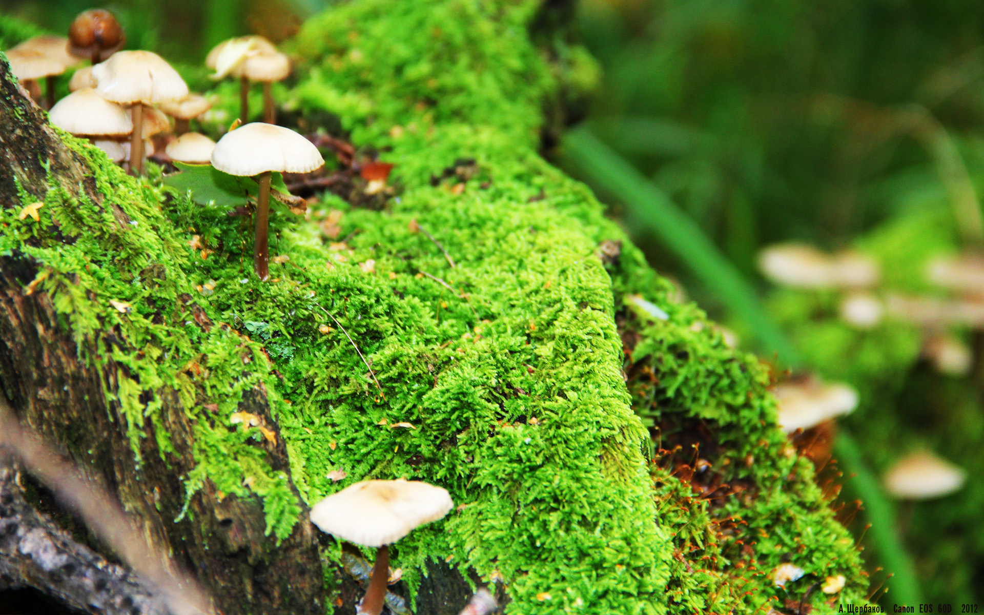 九游下载安装-_运动员赛后专访：背后故事感人至深_，运动冠军采访