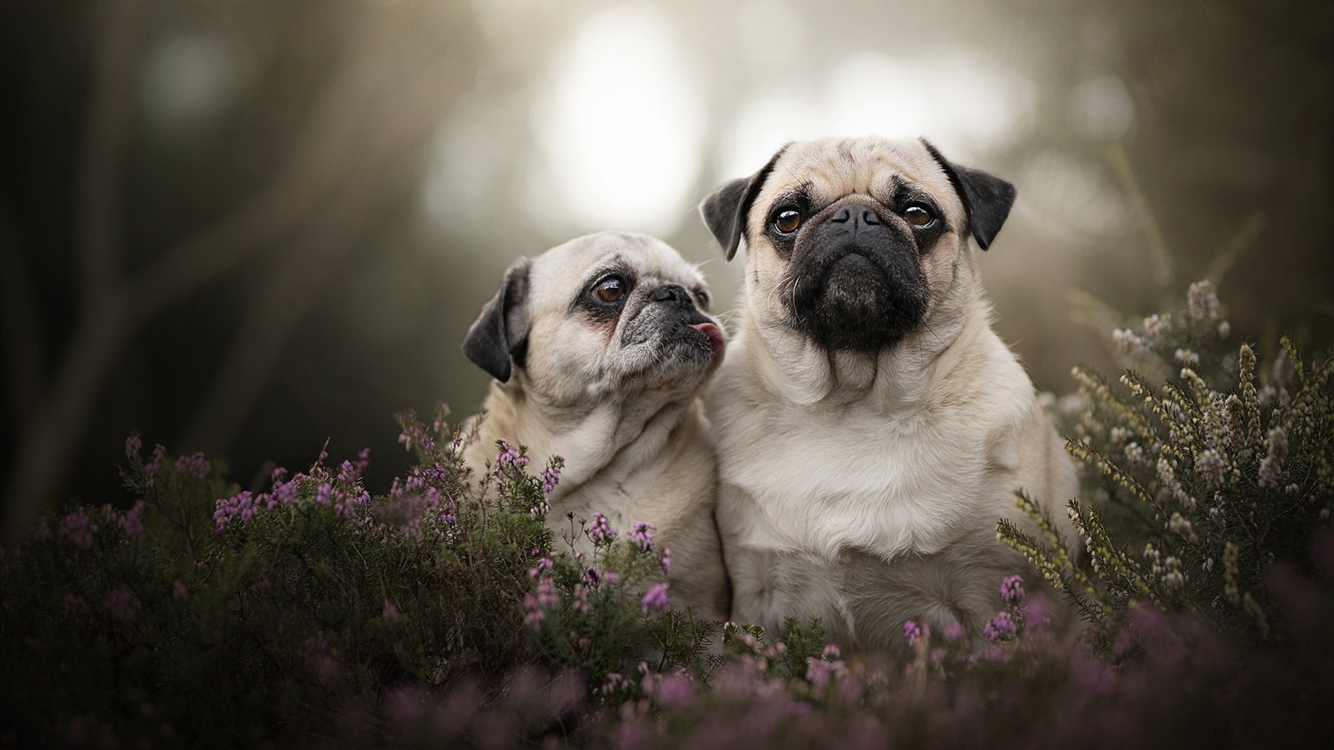 Jiu You-“中国足球产业持续融合发展，市场潜力巨大”，中国足球产业发展报告