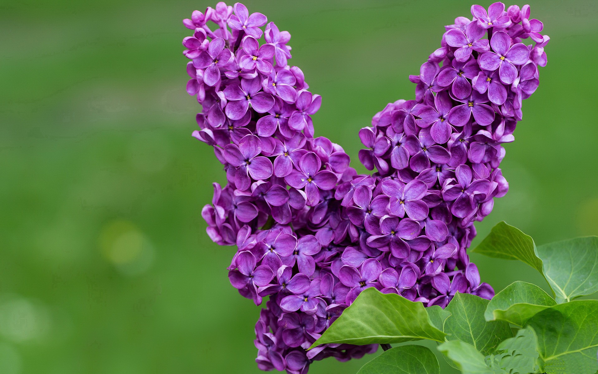 九游下载中心-《电竞“黑马”战队崛起：逆境中的华丽转身》，电竞战队slogan