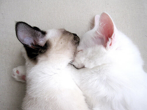 九游9游-中国男足在巴黎奥运会上获得银牌，创历史，中国男足奥运冠军