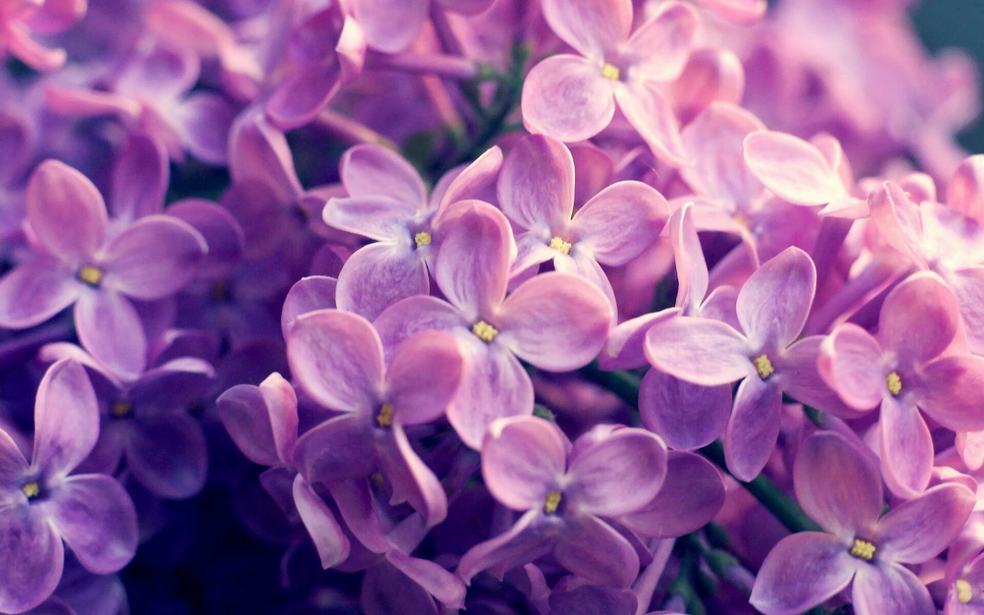 九游APP官网-互联网+足球：创新模式激发全民运动热情，足球的创新