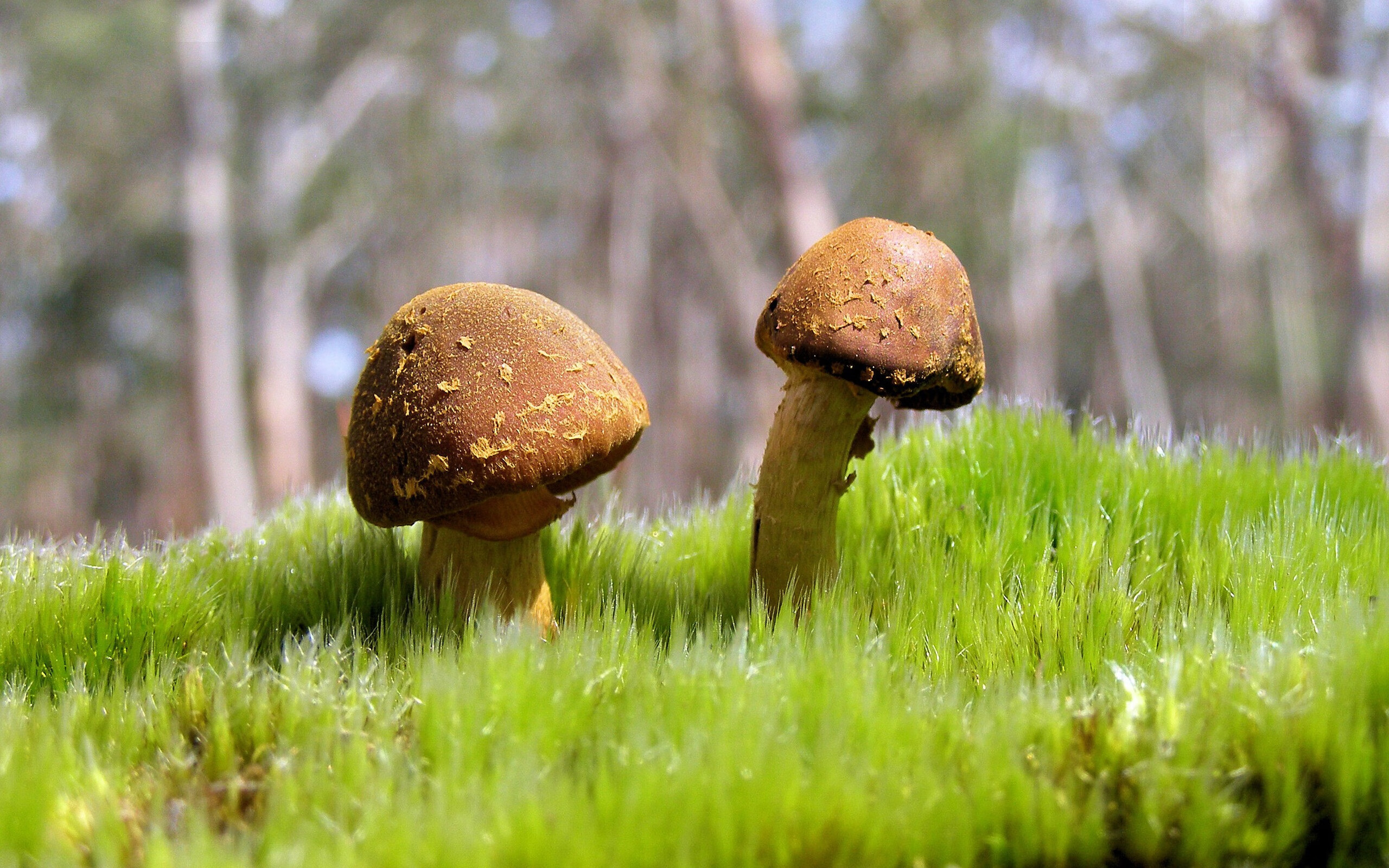 九游-史上“火爆”快攻：速度与爆发力的极致展示，快速爆发力运动有哪些