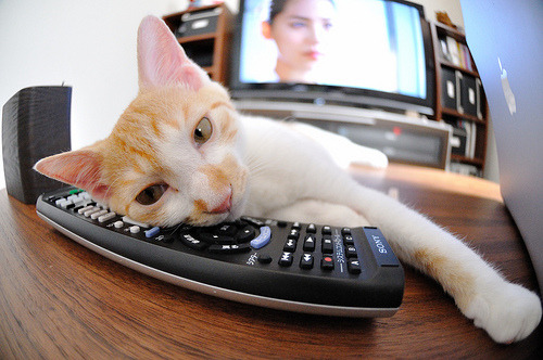 九游app下载中心-绝佳助攻：那些令人拍案叫绝的完美传球