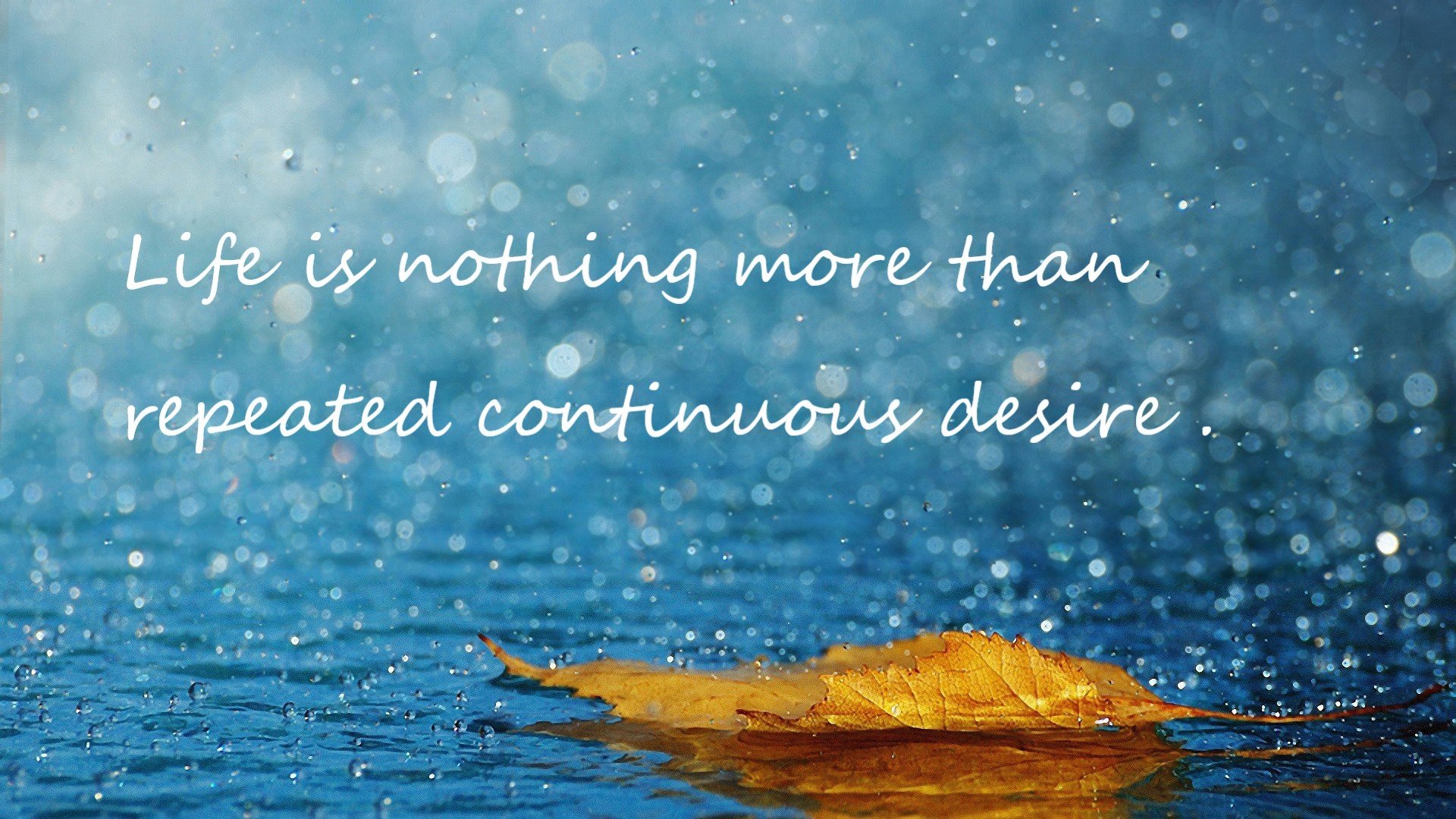 九游下载中心-女足世界杯备战紧锣密鼓，目标冲击佳绩，女足世界杯扩军32