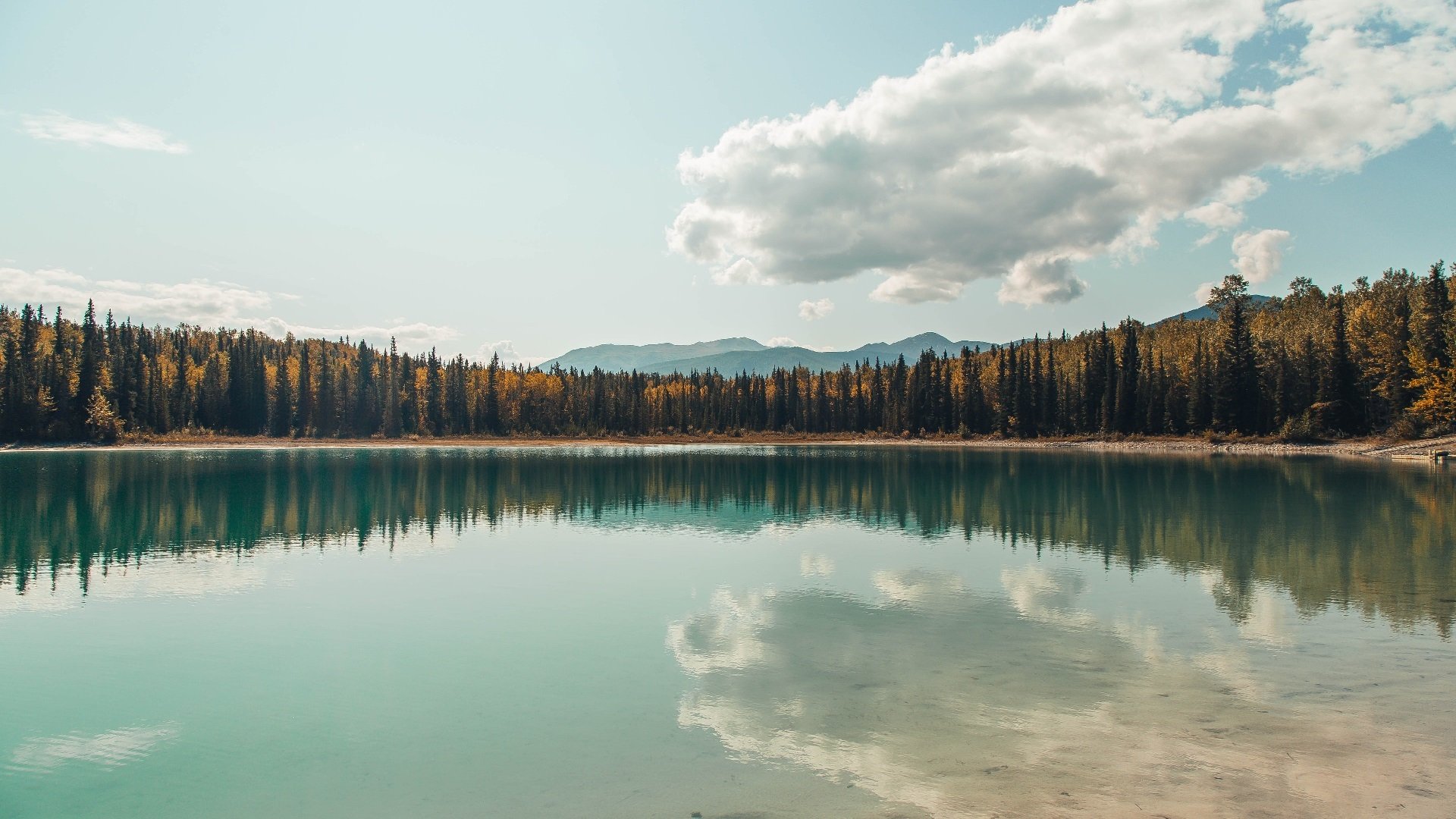 九游网游官网-摩纳哥意图挑衅马赛，力争左右比赛走势，摩纳哥赛道图片