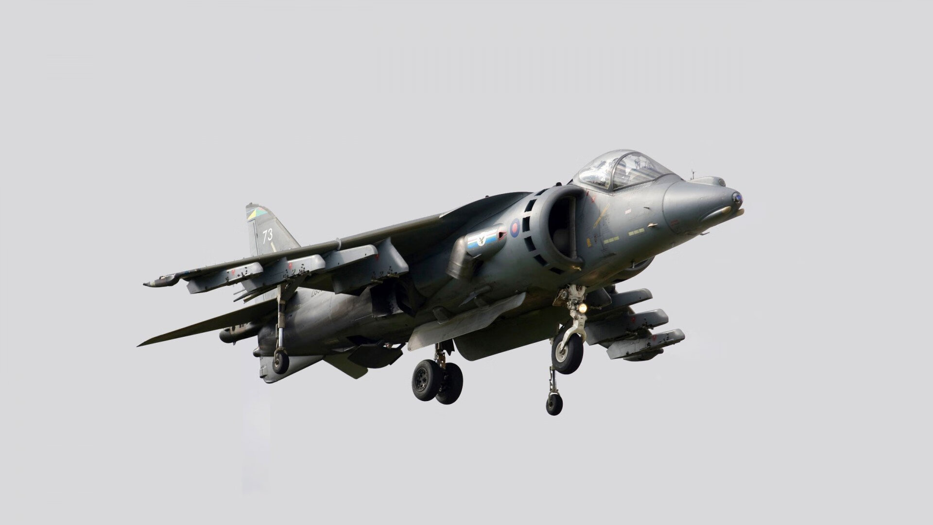 九游娱乐(jiuyou)官方网站-猛龙后卫集训期间状态火热 自信领跑东部球队,猛龙队位置