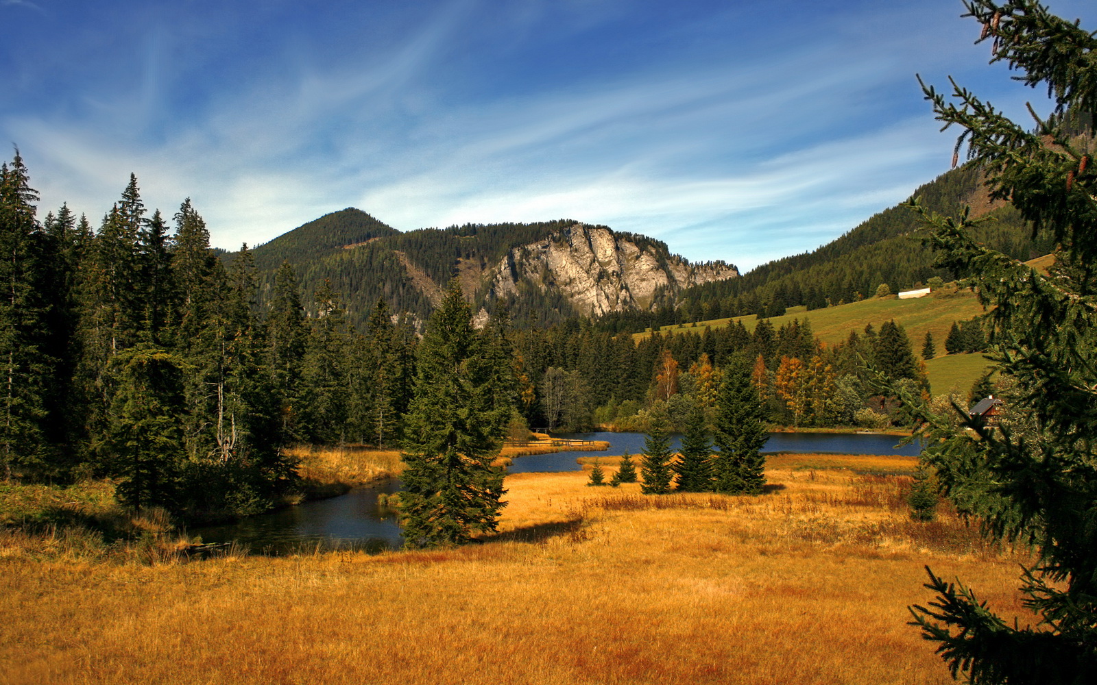 九游游戏中心官网-体育新闻中心主办“数字化转型下的体育传播革新”闭门会