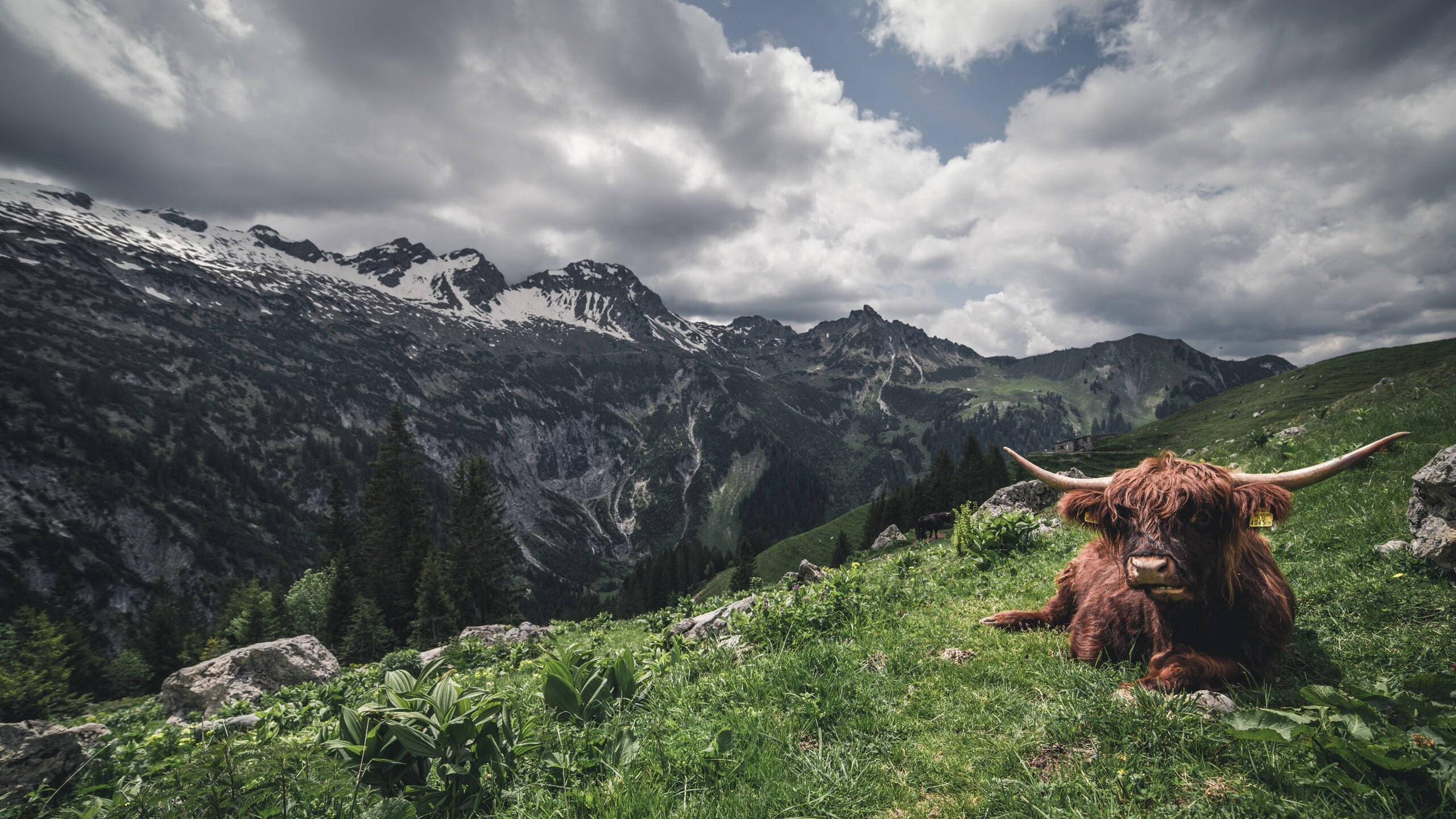 九游jiuyou-高校体测引入智能设备确保数据精准，高校体质测试