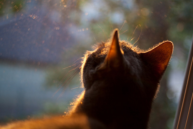 九游娱乐APP-世界杯高光时刻：那一刻，成为永恒！，世界杯殿堂经典回顾