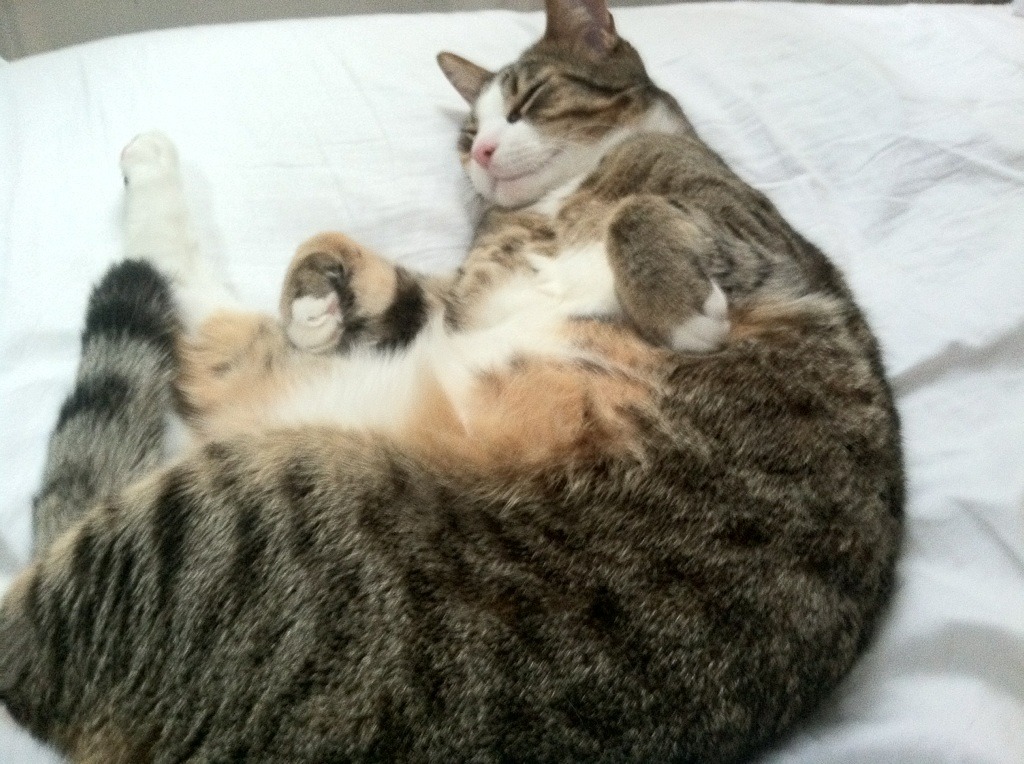 九游9游-以足球运动为核心的全民健身计划全面推进,提倡足球