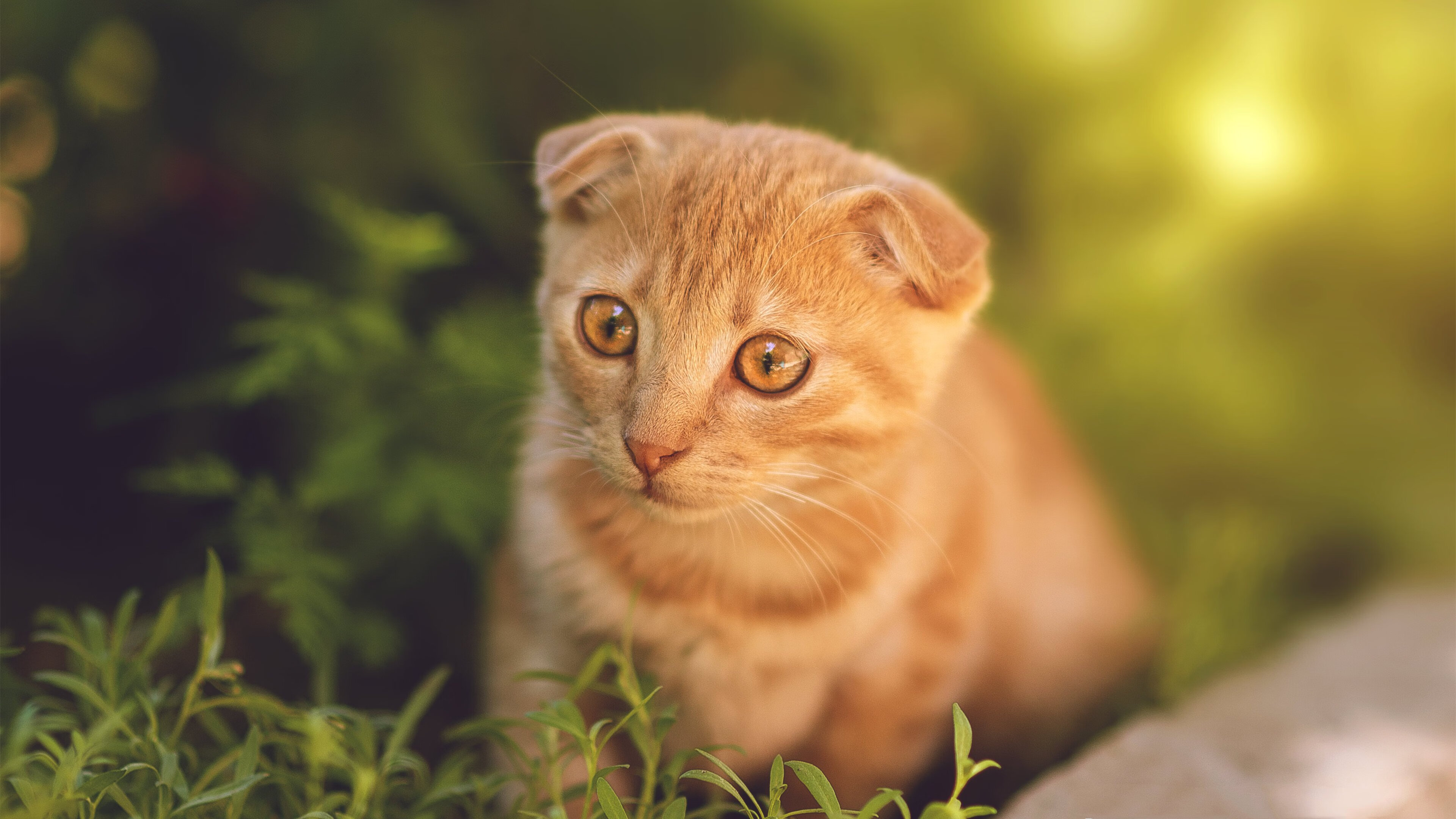 -国家体育总局通报国家级赛事环保方案执行情况，环保类竞赛