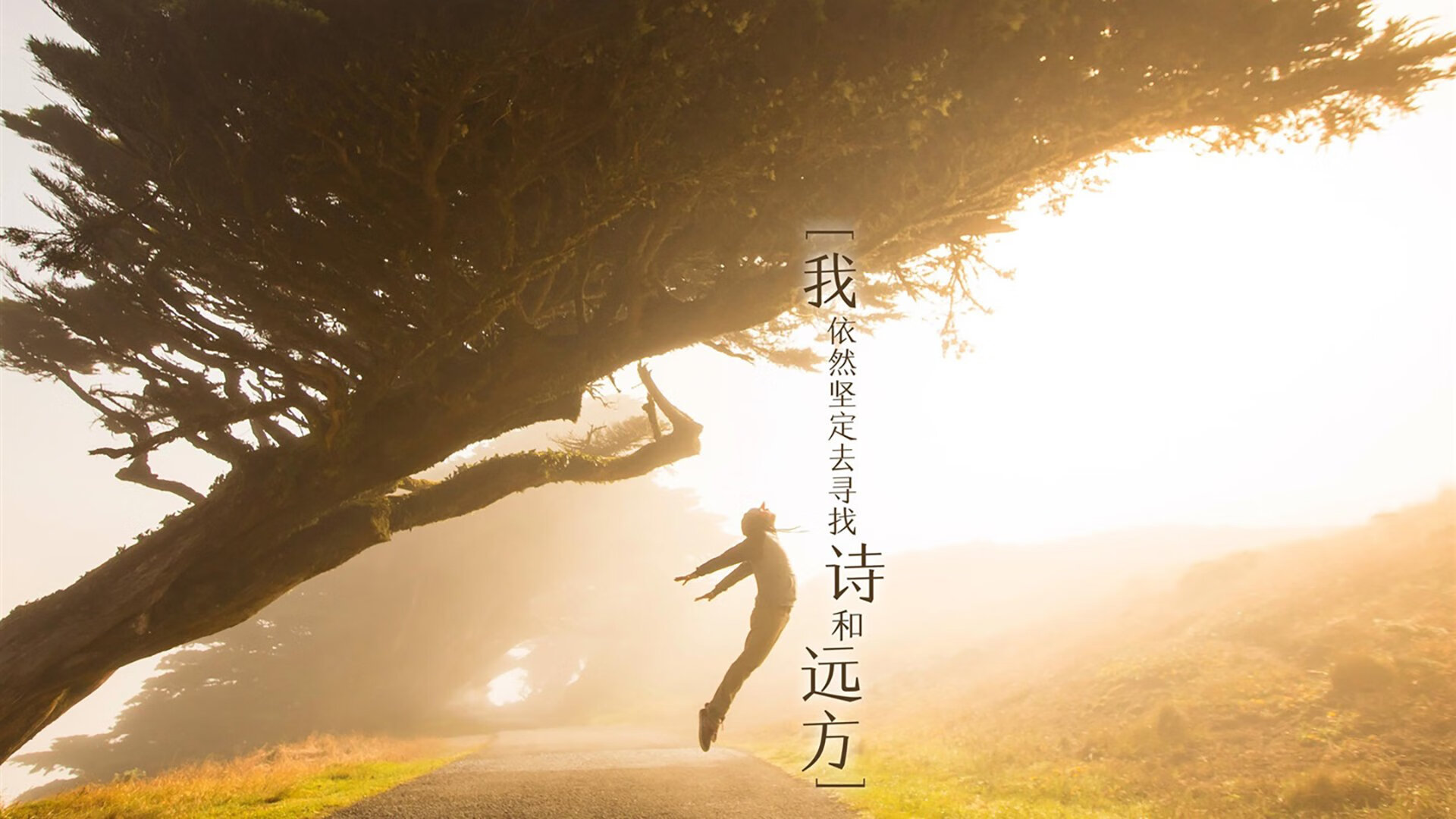 九游9游-德甲火力全开：攻势凌厉，场面火爆！，德甲榜首大战