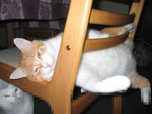 九游网页版官网-跨界合作打造足球主题的创新文创产品,市场火热,创意足球队