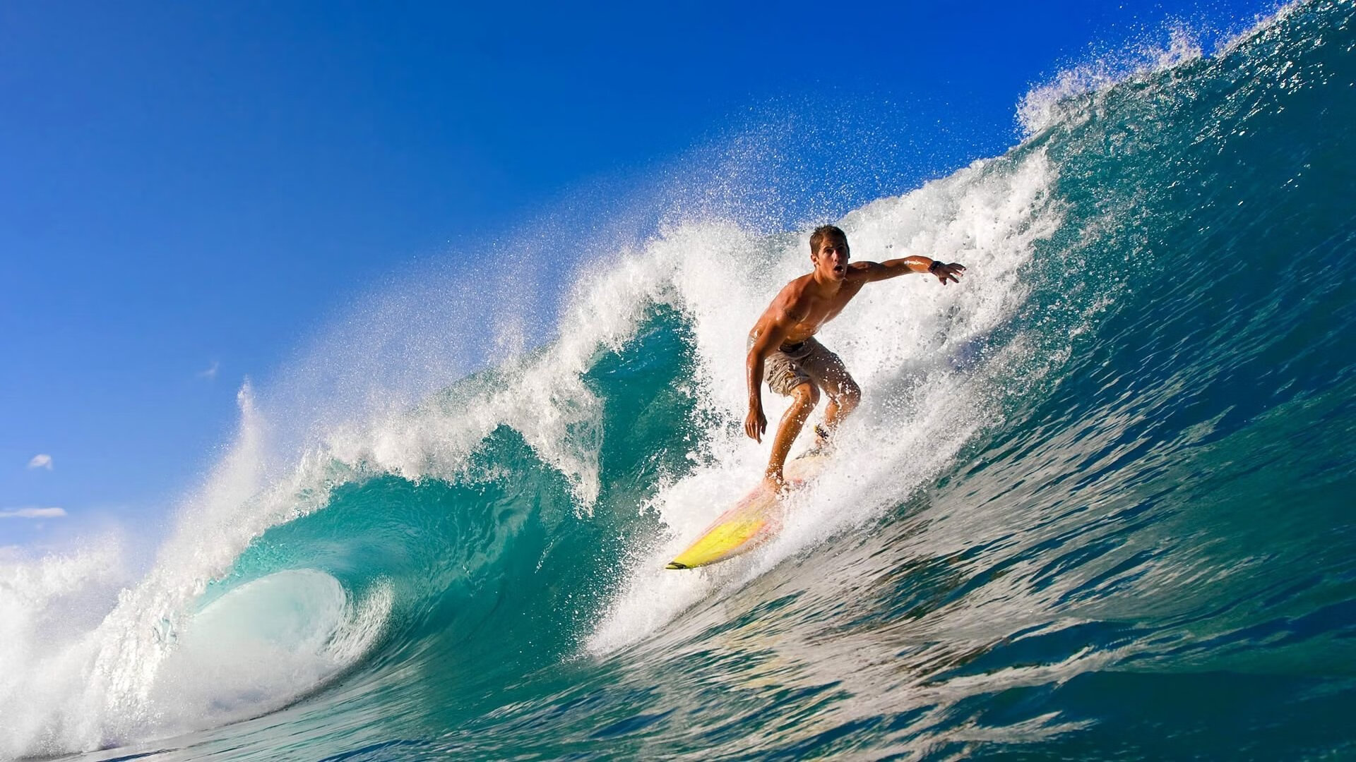 【水手队状态回暖】从连续失利到连胜五场，水手水手